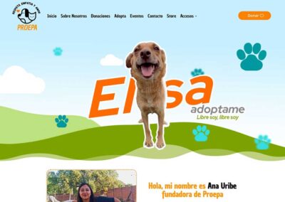 Proepa.org